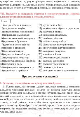 Учебное пособие Попурри Русский язык. Тренажер по орфографии и пунктуации. 10-11 класс 10