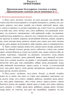 Учебное пособие Попурри Русский язык. Тренажер по орфографии и пунктуации. 10-11 класс 4