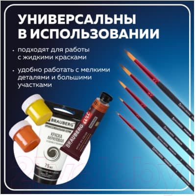 Набор кистей Brauberg Premium / 201025 10