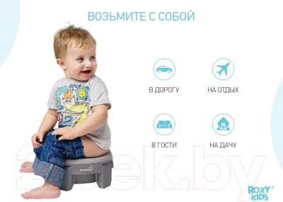 Вставка для детского горшка ROXY-KIDS ML-235RU-GR 7