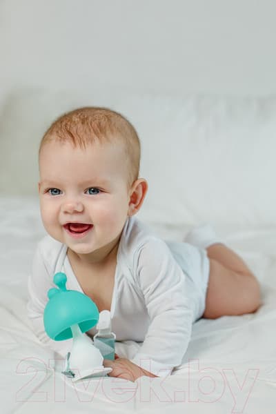 Прорезыватель для зубов ROXY-KIDS Грибочек с держателем в футляре / RST-001-B 2