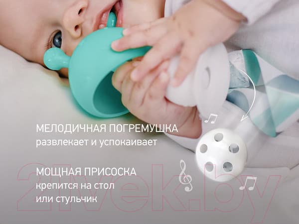 Прорезыватель для зубов ROXY-KIDS Грибочек с держателем в футляре / RST-001-B 5