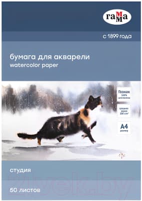 Набор бумаги для рисования ГАММА Студия / 40C03F750W