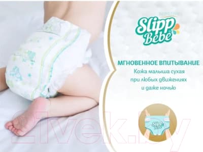 Подгузники детские Slipp Bebe №4 7-18 кг 2