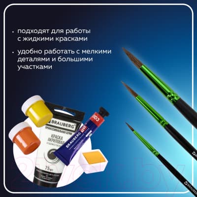 Набор кистей Brauberg Premium / 201021 8
