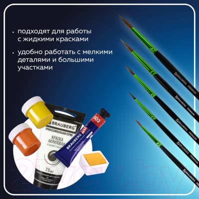 Набор кистей Brauberg Premium / 201022 5