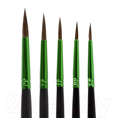 Набор кистей Brauberg Premium / 201022 2