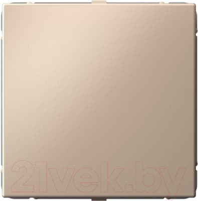 Заглушка для розетки Systeme (Schneider) Electric ArtGallery GAL001209