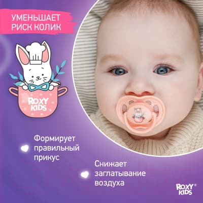 Набор пустышек ROXY-KIDS Bunny / RSS-002 4