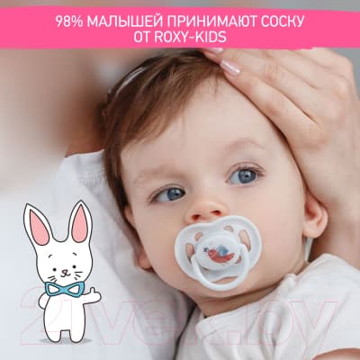 Набор пустышек ROXY-KIDS Scandi / RSS-004 2