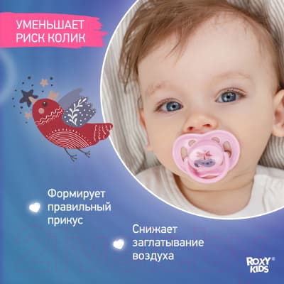 Набор пустышек ROXY-KIDS Scandi / RSS-004 7