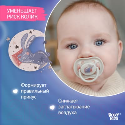 Набор пустышек ROXY-KIDS Scandi / RSS-003 6