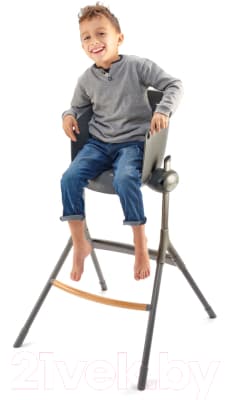 Стульчик для кормления Beaba Up&Down Chaise Haute Grey EU 915043 4
