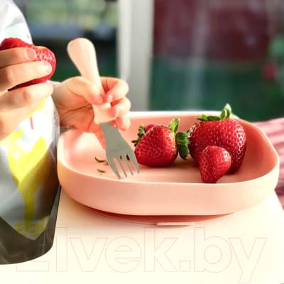 Тарелка для кормления Beaba Assiette Silicone 913431 2