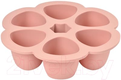 Контейнер для детского питания Beaba Old Pink 912615 2