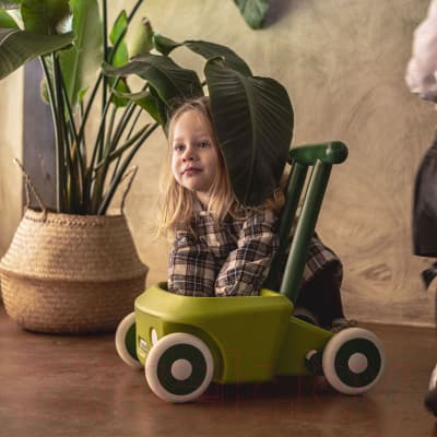 Ходунки-каталка Italtrike Roberto / 4020ROB995658 4