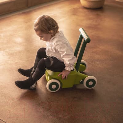 Ходунки-каталка Italtrike Roberto / 4020ROB995658 5