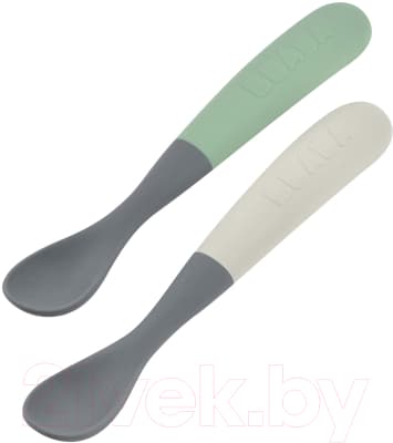 Набор столовых ложек для кормления Beaba Lot 2 Cuil Sil 1 Age Bi-T M/Gr 913574