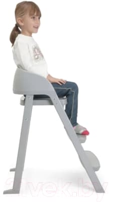 Стульчик для кормления Chicco Crescendo Lite 4