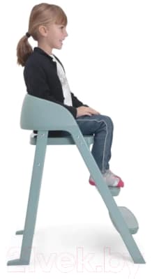 Стульчик для кормления Chicco Crescendo Lite 7