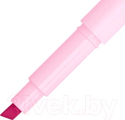 Набор маркеров Brauberg Pastel двусторонний / 152518 4