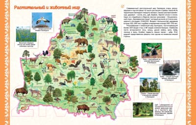 Атлас Белкартография Моя Беларусь. Большой 2024 4