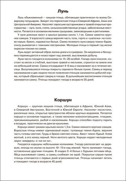 Наглядное пособие Мозаика-Синтез Мир в картинках. Птицы хищные / МС11508 5