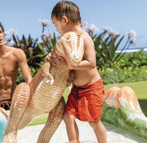 Водный игровой центр Intex Jurassic Adventure / 56132 7