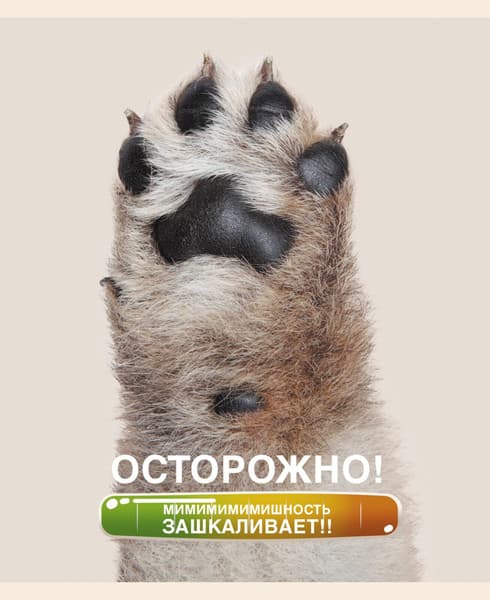 Тетрадь Listoff Осторожно, щеночки / ТК488352
