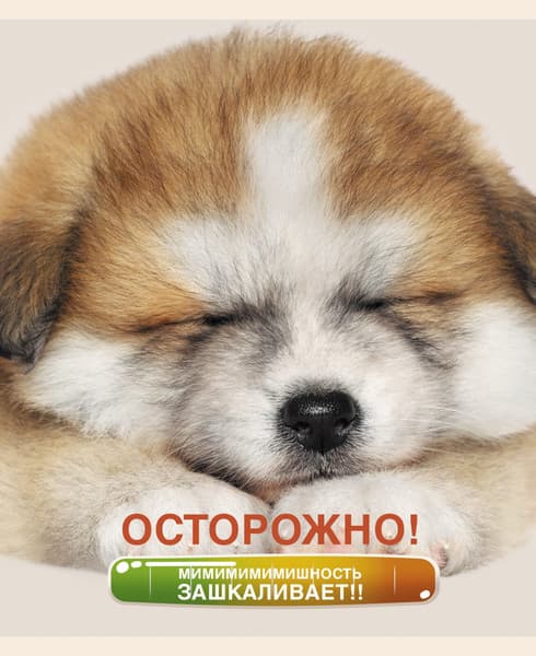 Тетрадь Listoff Осторожно, щеночки / ТК488352 4