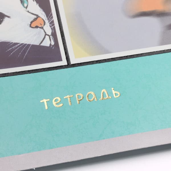 Тетрадь Listoff День кота / ТФЛ968774 5