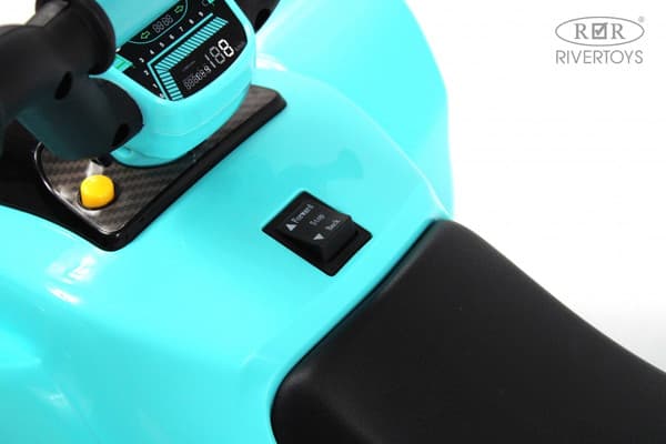 Детский квадроцикл RiverToys H001HH 9