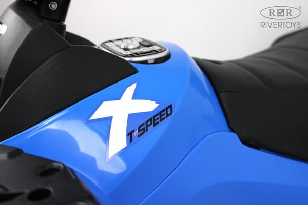 Детский квадроцикл RiverToys T001TT 4WD 7