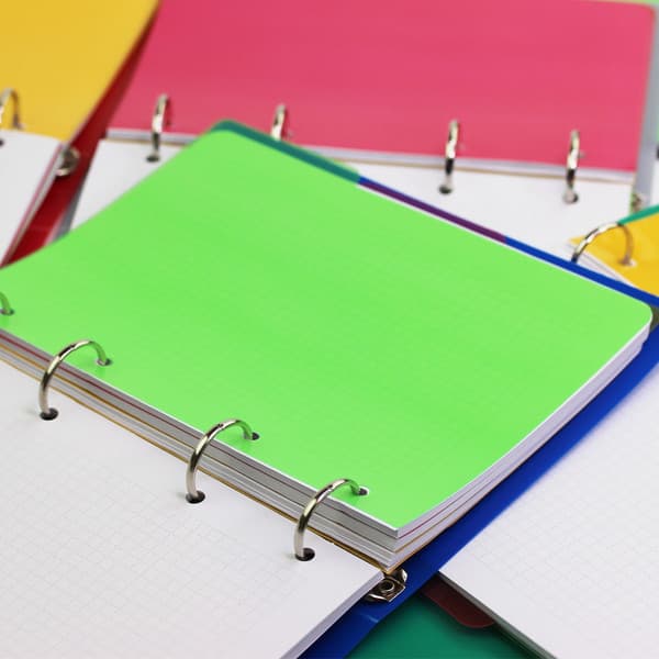 Тетрадь Listoff My Notebook. No 6 / ПБП1205114 4