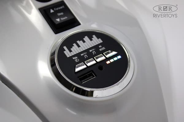 Детский мотоцикл RiverToys Z333ZZ 10