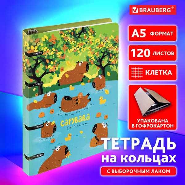 Тетрадь Brauberg 404731 2
