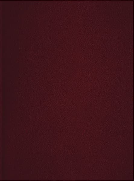 Тетрадь BG Т4бв96к_12340