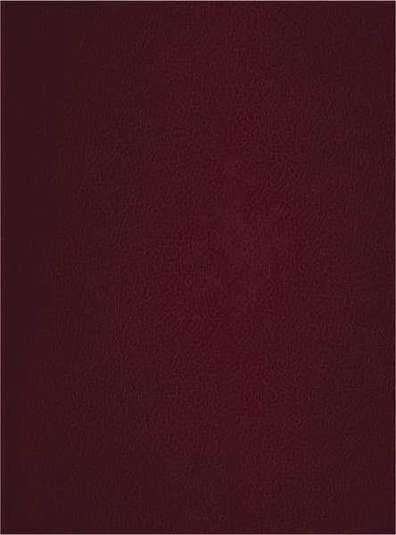 Тетрадь BG Т4бв80к_12325