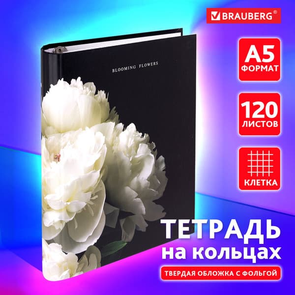 Тетрадь Brauberg 404721 2