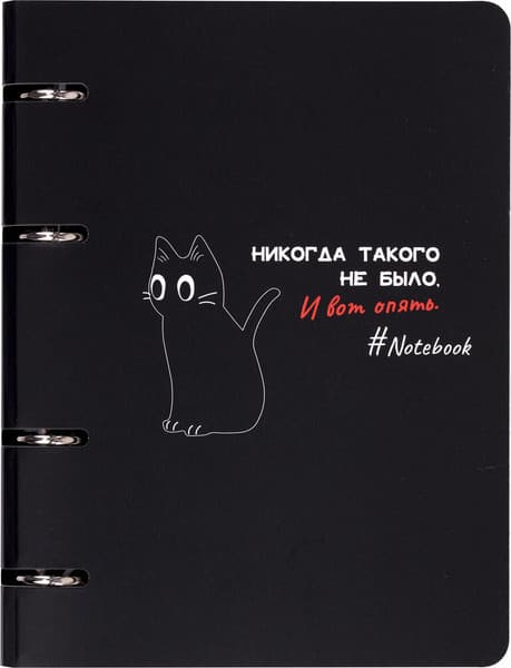 Тетрадь Brauberg 404723 3