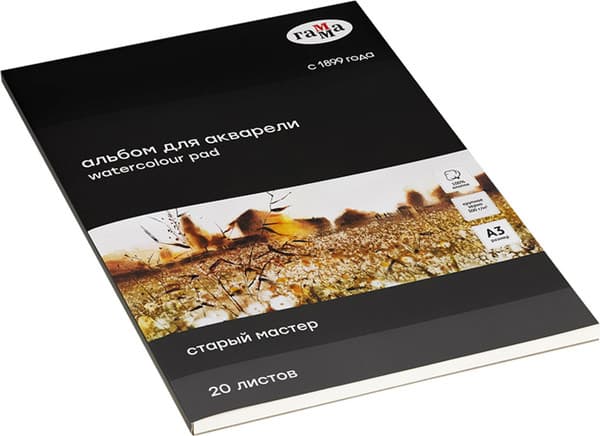 Альбом для рисования ГАММА Старый Мастер / 215538AGRC 5