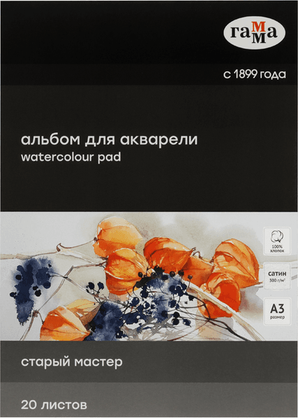 Альбом для рисования ГАММА Старый Мастер / 215535AGRC