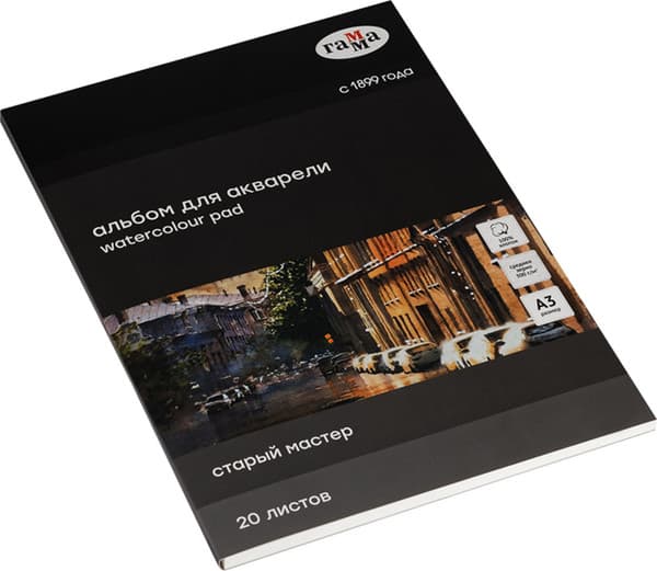 Альбом для рисования ГАММА Старый Мастер / 215532AGRC 5