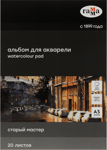 Альбом для рисования ГАММА Старый Мастер / 215532AGRC