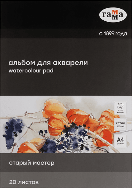 Альбом для рисования ГАММА Старый Мастер / 215533AGRC