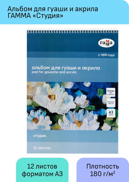 Альбом для рисования ГАММА Студия / 30A01S712W 2