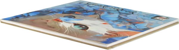 Альбом для рисования Феникс+ Лучезарный кот / 68512 2