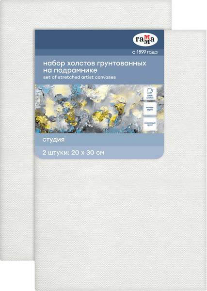 Набор холстов для рисования ГАММА Студия / 280818_13Р2