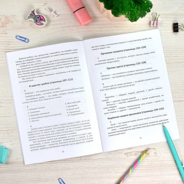 Учебное пособие Феникс+ Домашний репетитор Окр мир. 3 класс / 65911 2