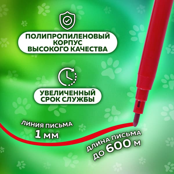 Фломастеры Пифагор Веселые питомцы / 152454 9